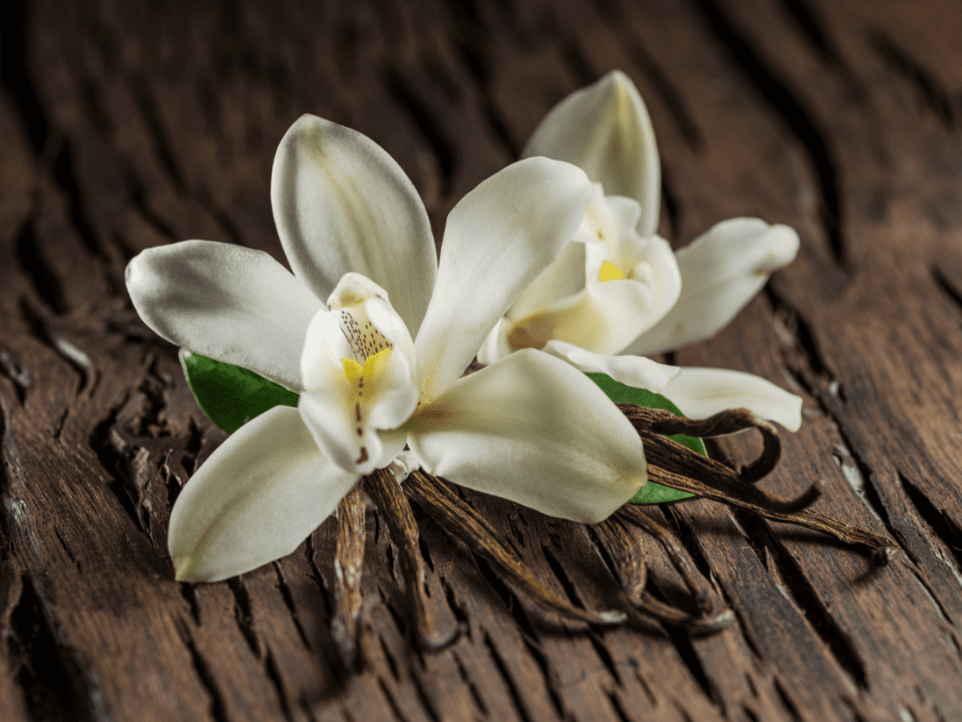 Aromatherapy, Vanilla Aroma, is a good sedative and combats insomnia